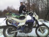 1991 Suzuki DR 650 R Dakar (reduced effect) photo